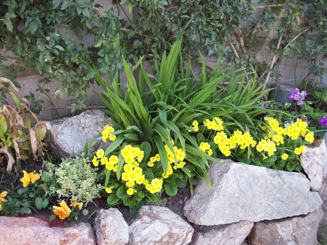 100_3044.jpg