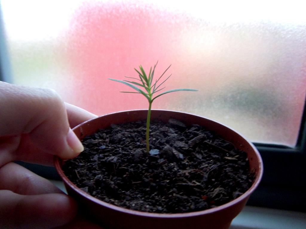 100_3045.jpg
