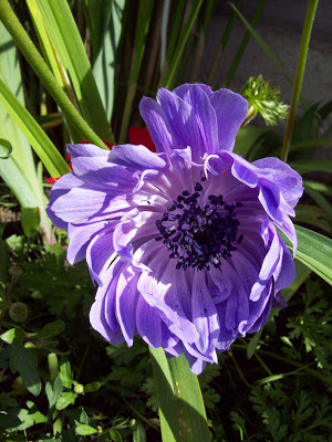 100_3051.jpg