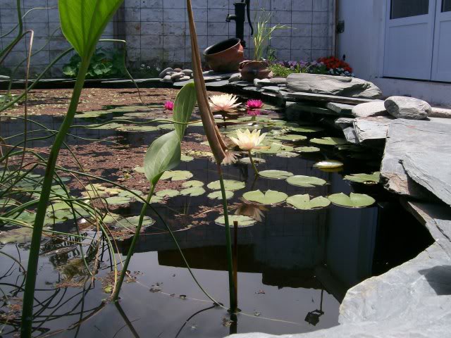 100_3058.jpg