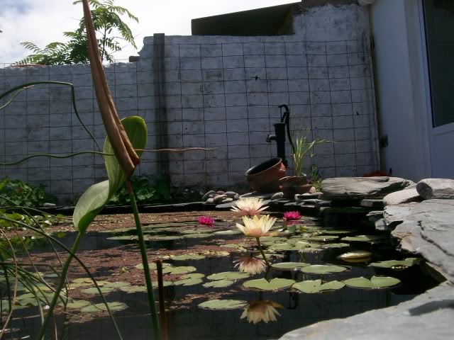 100_3060.jpg
