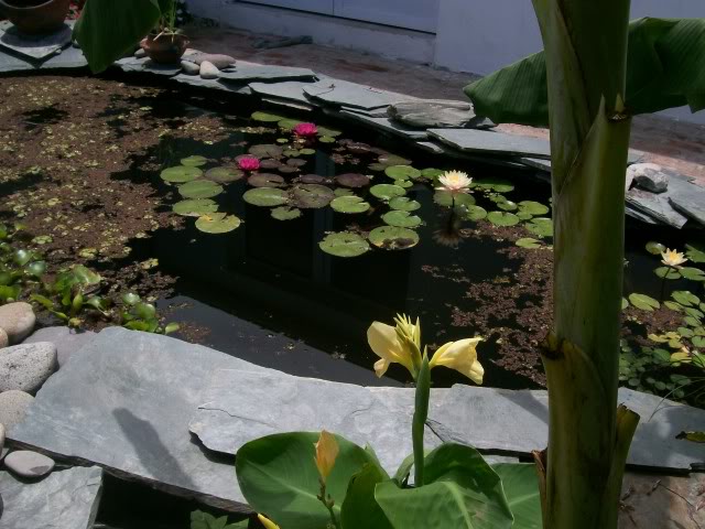 100_3062.jpg