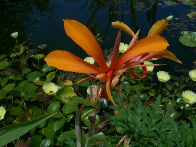 100_3063.jpg