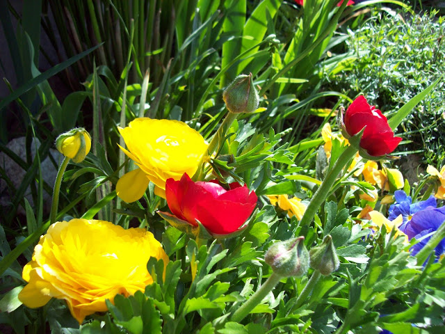 100_3064.jpg