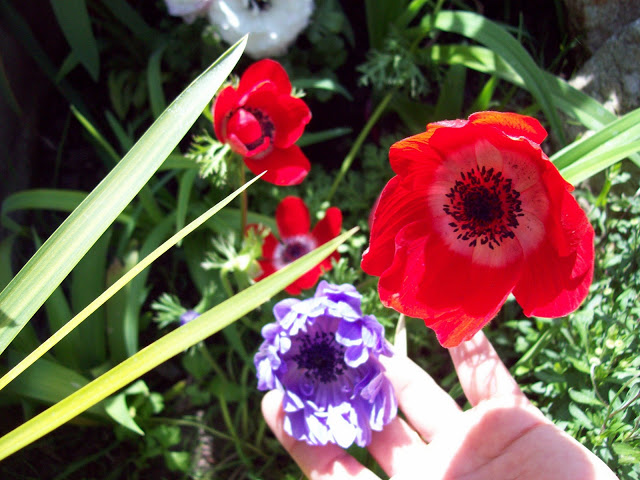 100_3065.jpg