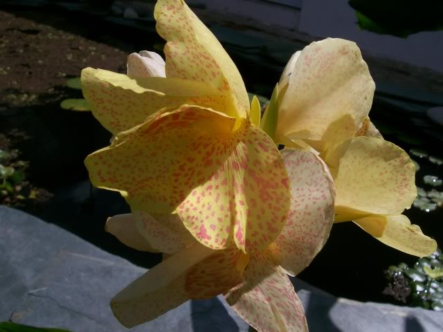 100_3082.jpg
