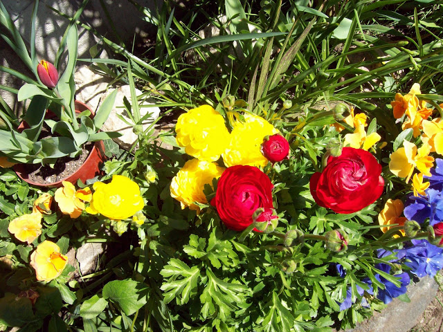 100_3092.jpg