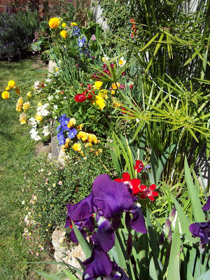 100_3105.jpg