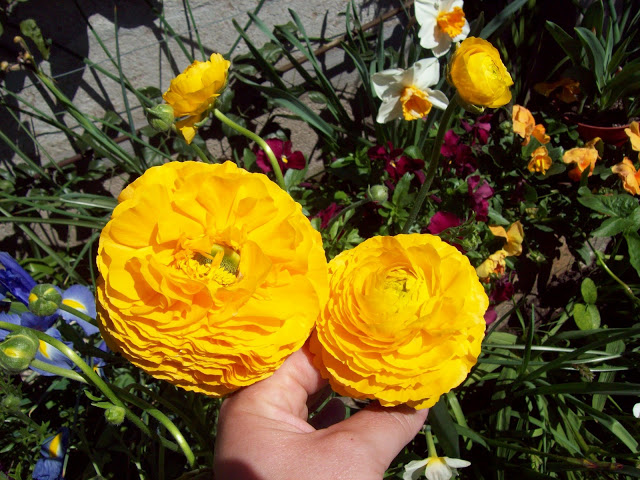 100_3116.jpg