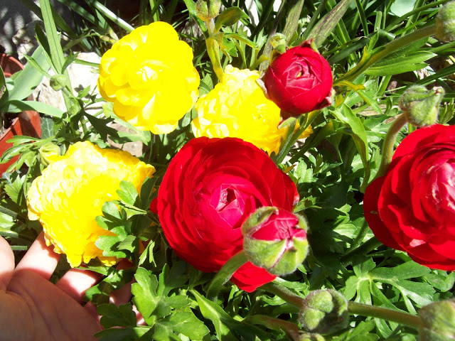 100_3117.jpg