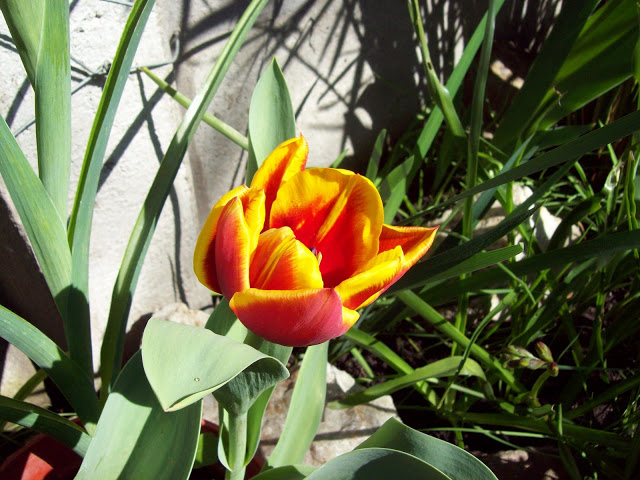 100_3130.jpg