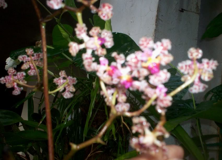 100_3170.jpg