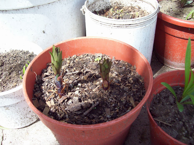 100_3214.jpg