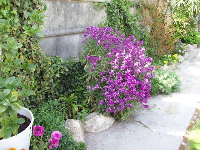 100_3216.jpg