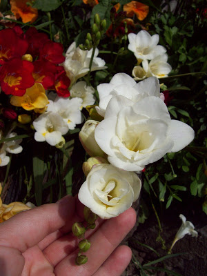 100_3225.jpg