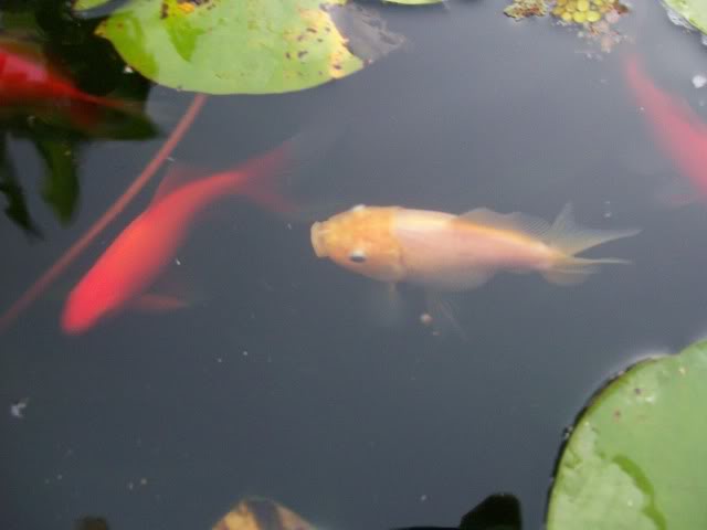 100_3261.jpg