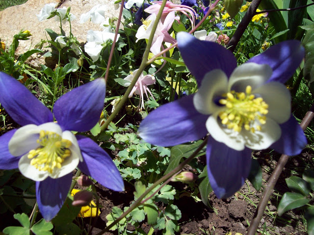 100_3286.jpg