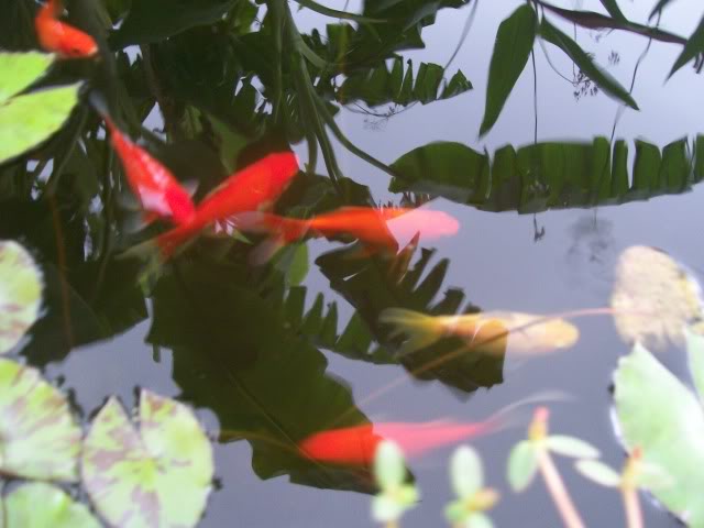 100_3302.jpg