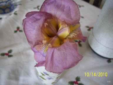 100_3320.jpg