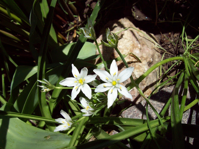 100_3326.jpg