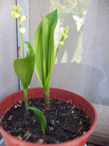 100_3348.jpg