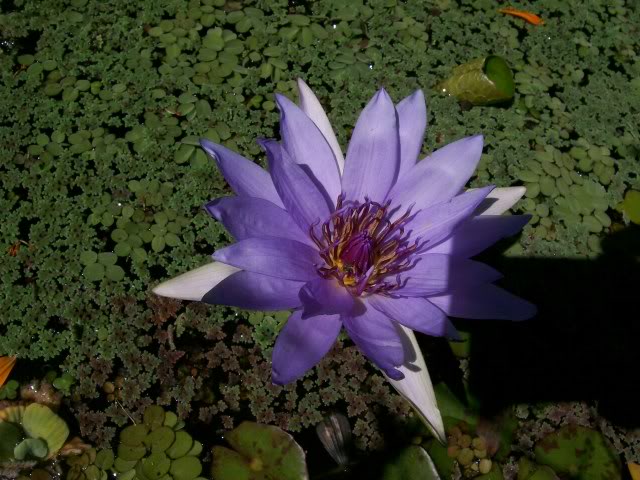 100_3352.jpg