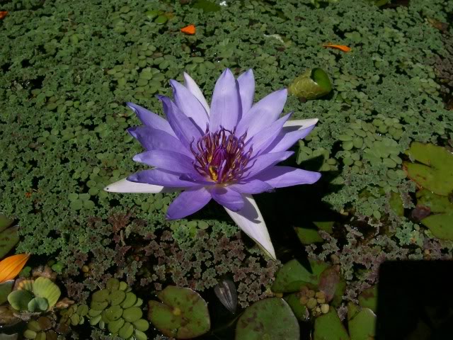 100_3353.jpg