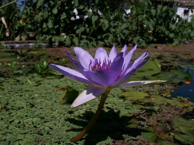 100_3354.jpg
