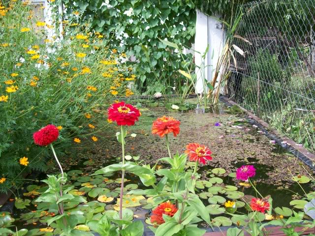 100_3363.jpg