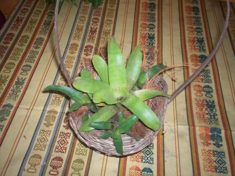 100_3387.jpg
