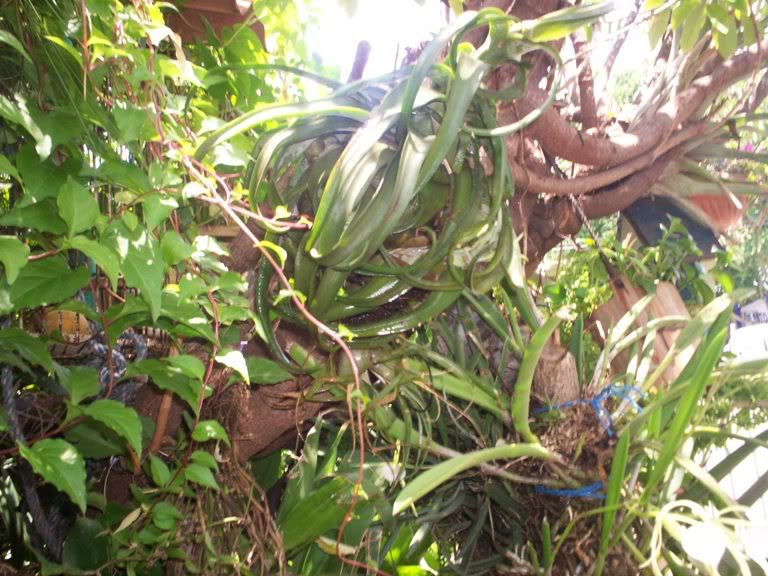 100_3423.jpg