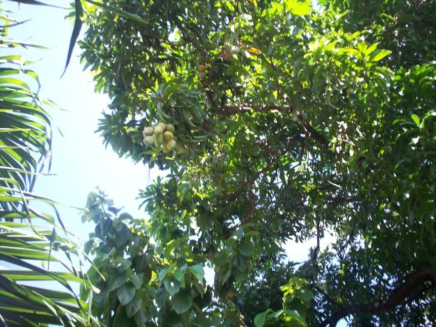 100_3442_00.jpg
