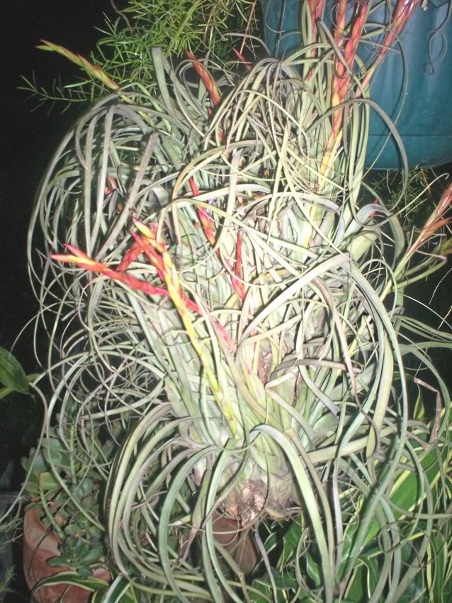 100_3456.jpg