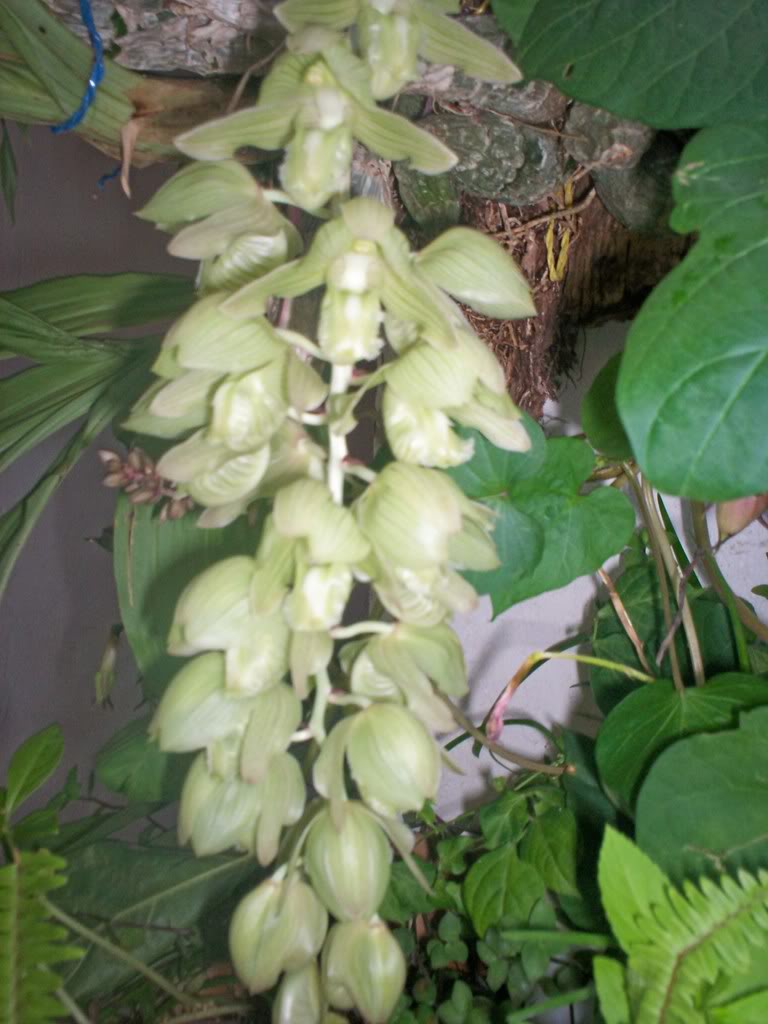 100_3483.jpg