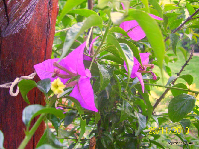 100_3543.jpg