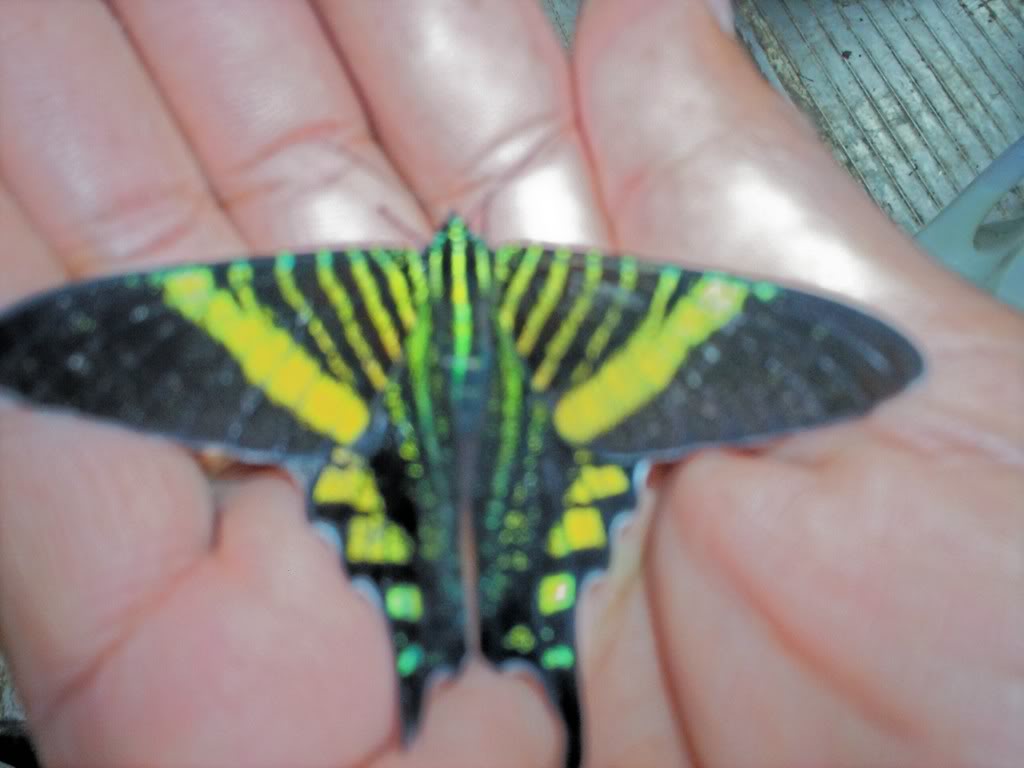 100_3574.jpg