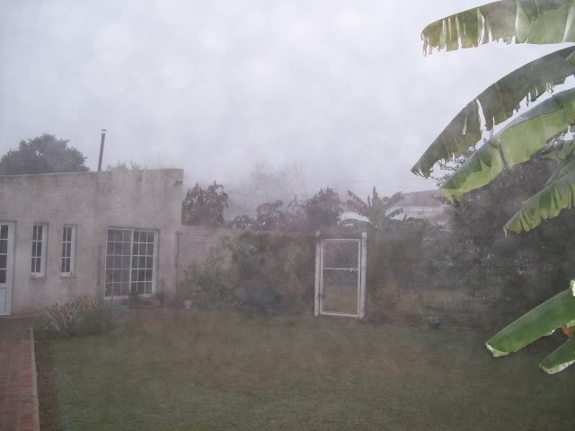 100_3574.jpg