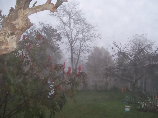 100_3576.jpg