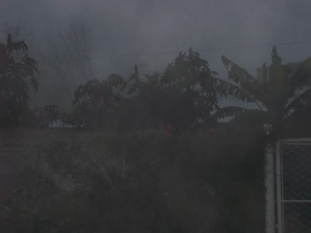 100_3577.jpg