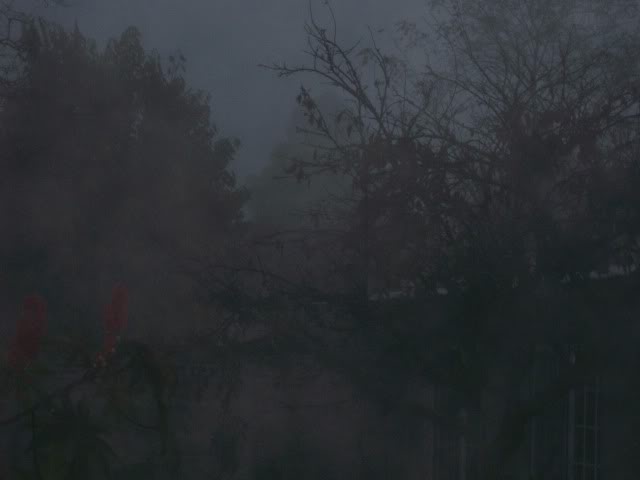 100_3578.jpg