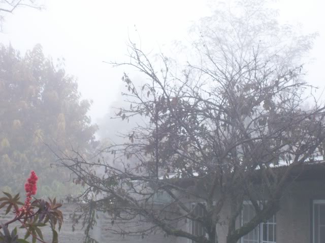100_3579.jpg