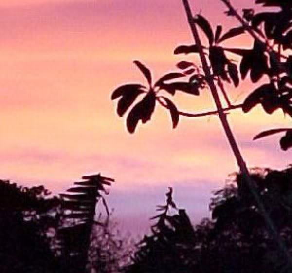 100_3586.jpg