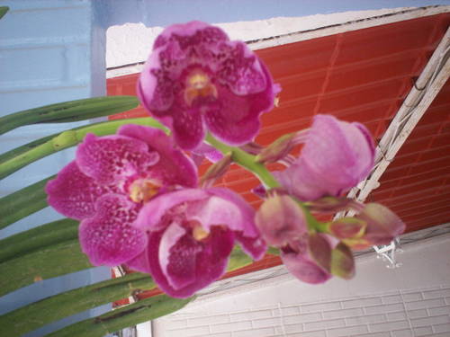 100_3633.JPG