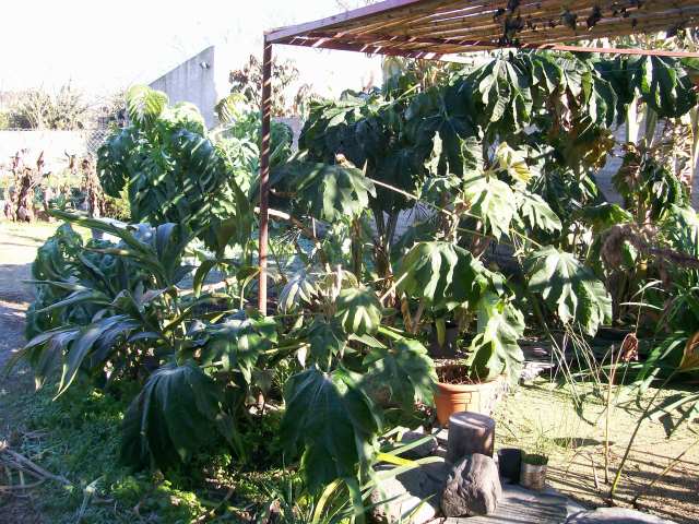 100_3719.jpg