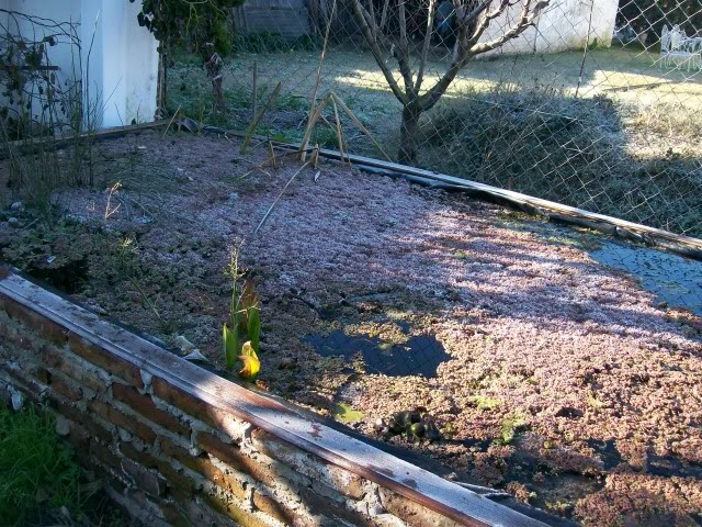 100_3723.jpg