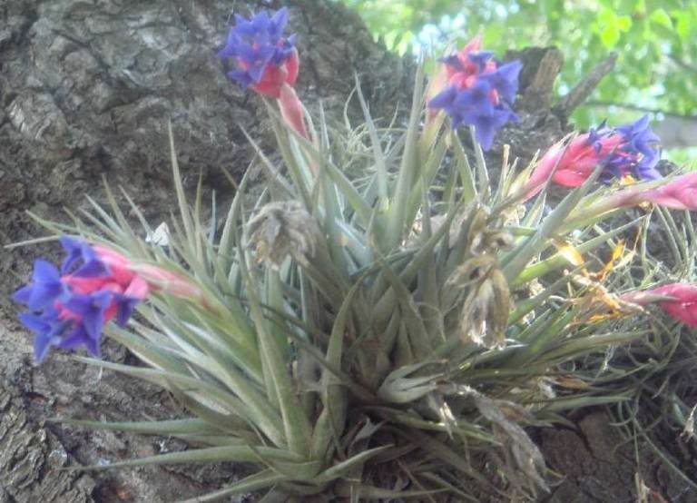 100_3889.jpg