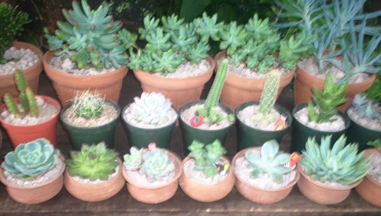 100_3927.jpg