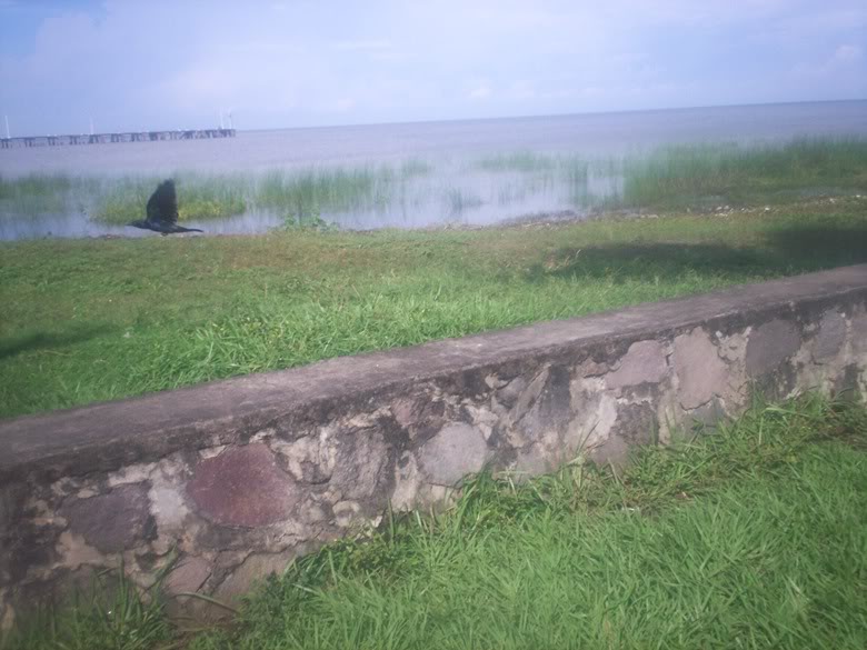 100_3964.jpg