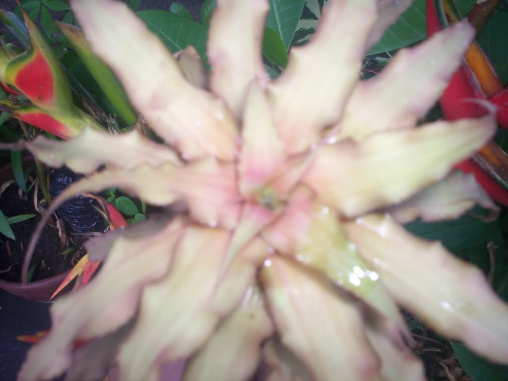 100_3973.jpg