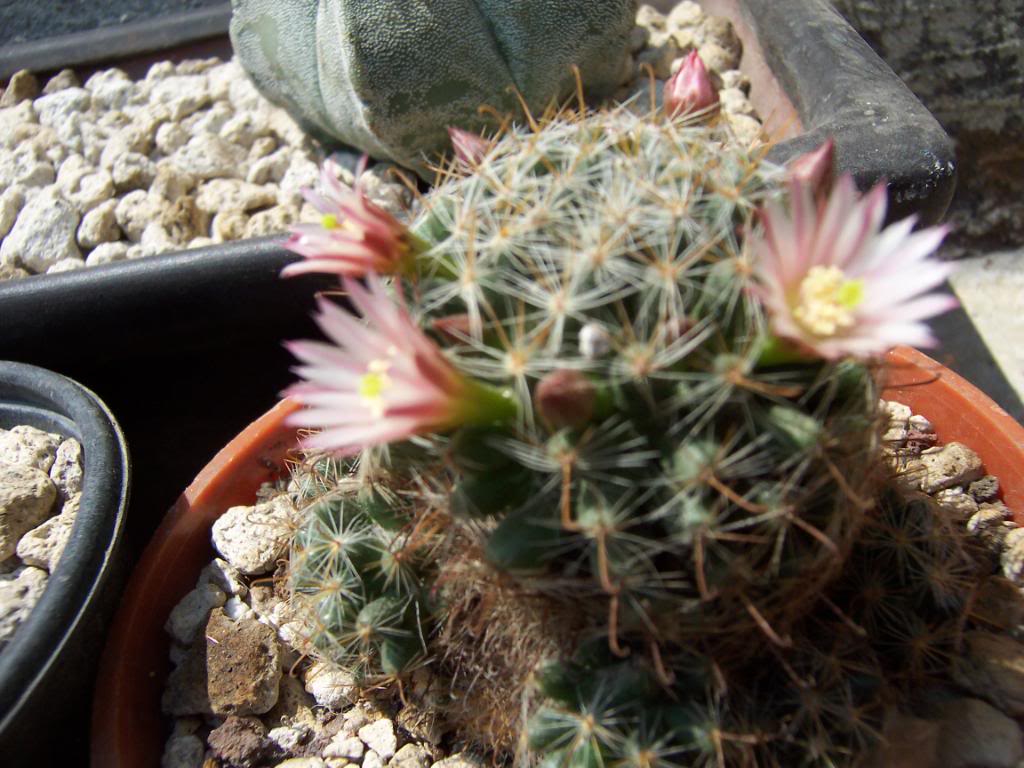 100_4122.jpg